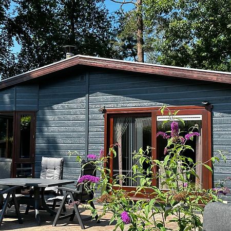 Dubbele Chalet Op Recreatiepark Topparken Op De Veluwe In Beekbergen Met Grote Vrije Tuin En Eigen Parkeerplaats 외부 사진